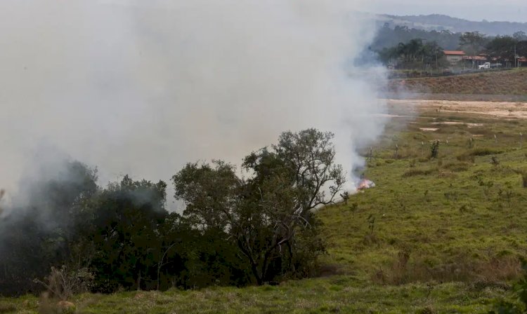 Fundo auxiliará produtores rurais atingidos por incêndios em SP