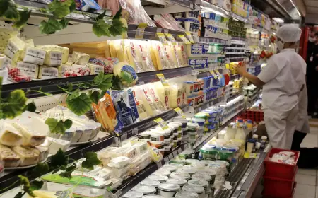 Exportações de alimentos caem em agosto por causa de tarifaço dos EUA